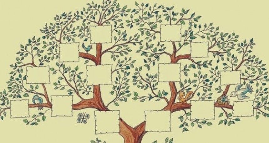 Árbol genealógico: desde el lunes habrá accesibilidad para armarlo