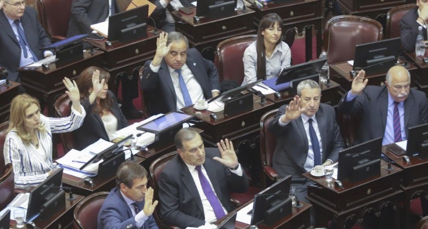 El Senado sancionó por unanimidad la ley de emergencia alimentaria