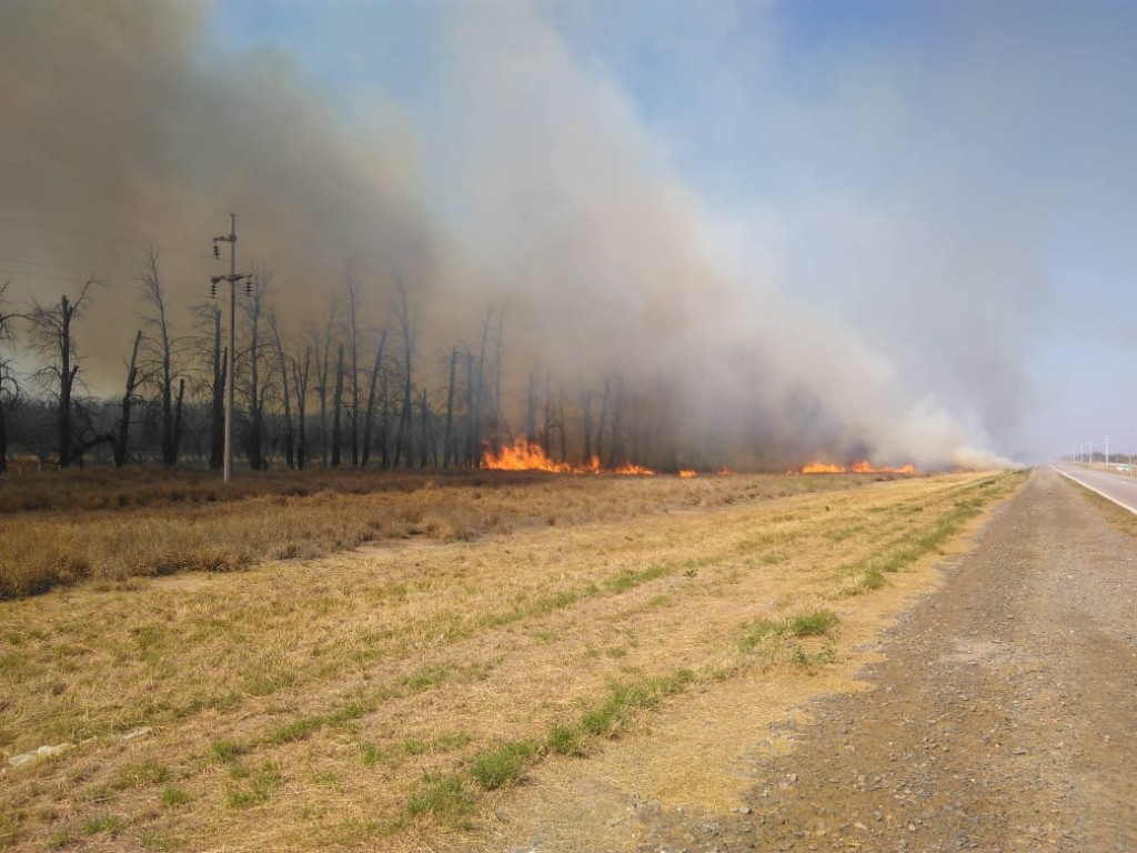 PRECAUCION: Incendio de pastizales en RNN 38 