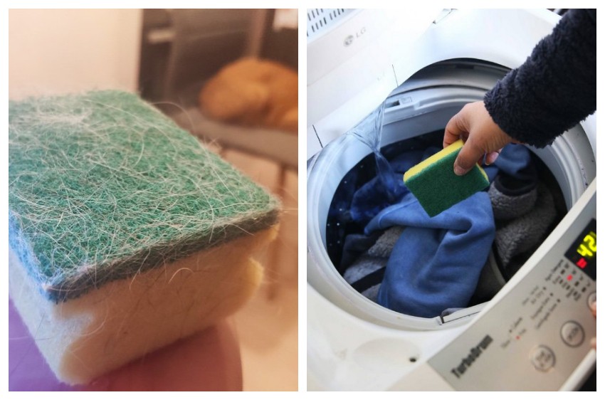 Si tu problema son los pelos de gatos y perros en tu ropa aquí la solución