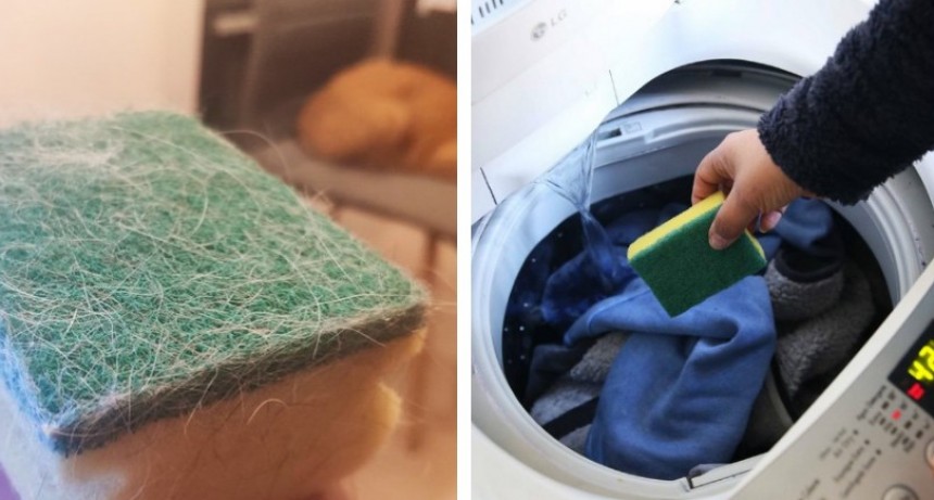 Si tu problema son los pelos de gatos y perros en tu ropa aquí la solución