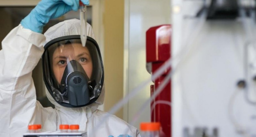 Registraron 9924 nuevos casos y 117 muertes