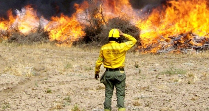 Brigada de Incendios Forestales pide una reunión de “carácter urgente” al Director de Defensa Civil