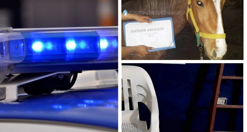 INFORMACION OFICIAL: Reporte actualizado Policía de la Provincia