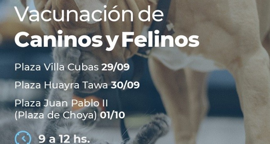 Día Mundial de la Lucha contra la Rabia