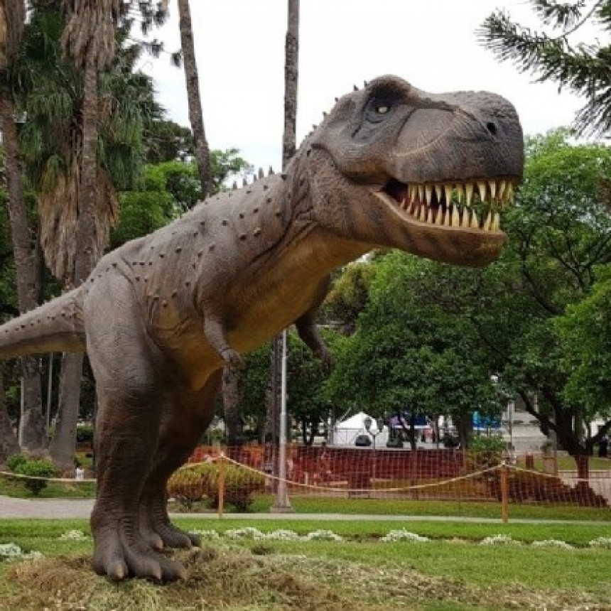 La muestra "Catamarca se viste de ciencia" se extiende