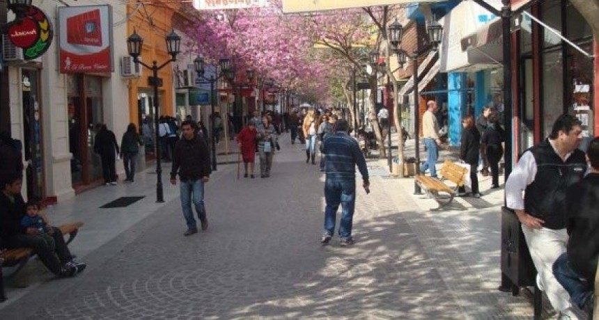 Panel sobre beneficios municipales para comercios locales