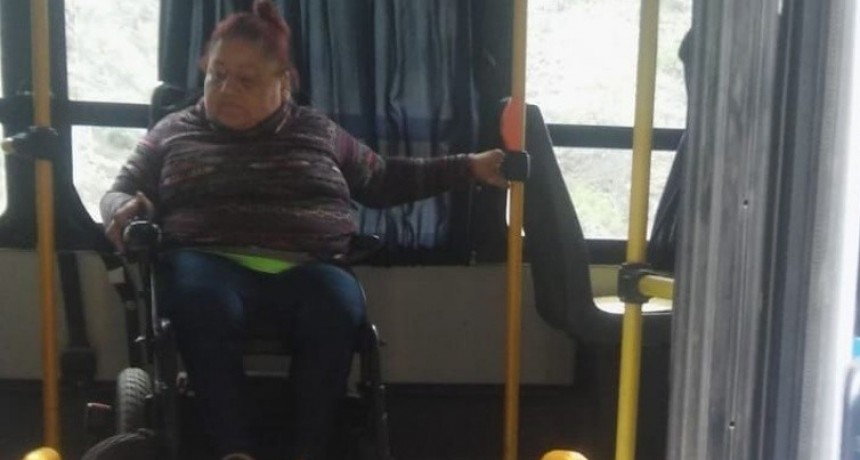 Colectivo apto para sillas de ruedas