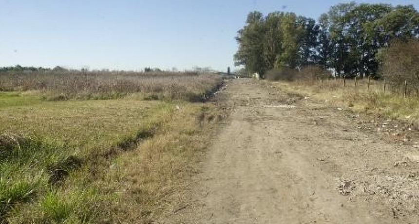 Menor pario a su bebe en un descampado y los perros lo devoraron