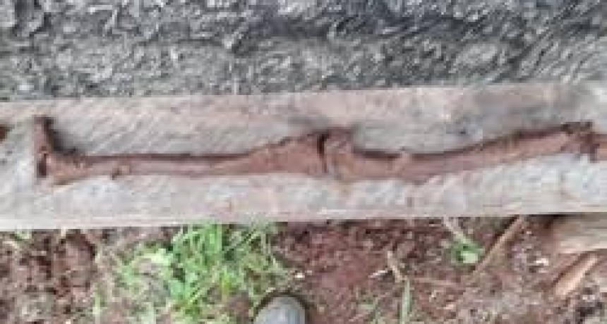 Descubren restos humanos de un ni&ntilde;o en una obra en construcci&oacute;n