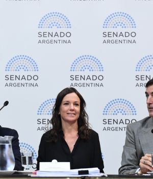 Stanley fue a defender el Presupuesto al Senado