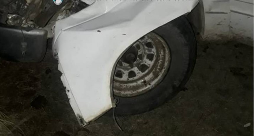 Otra vez, un animal suelto en la ruta casi provoca una tragedia