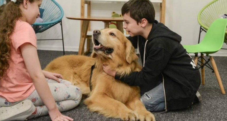 La historia de Titán, el perro que acompaña a chicos que deben declarar como víctimas o testigos