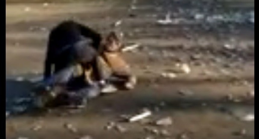 Un grupo de rugbiers golpeó violentamente a un indigente