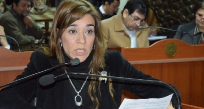 Paola Bazan: Culpo a Oscar Castillo por la derrota en las elecciones
