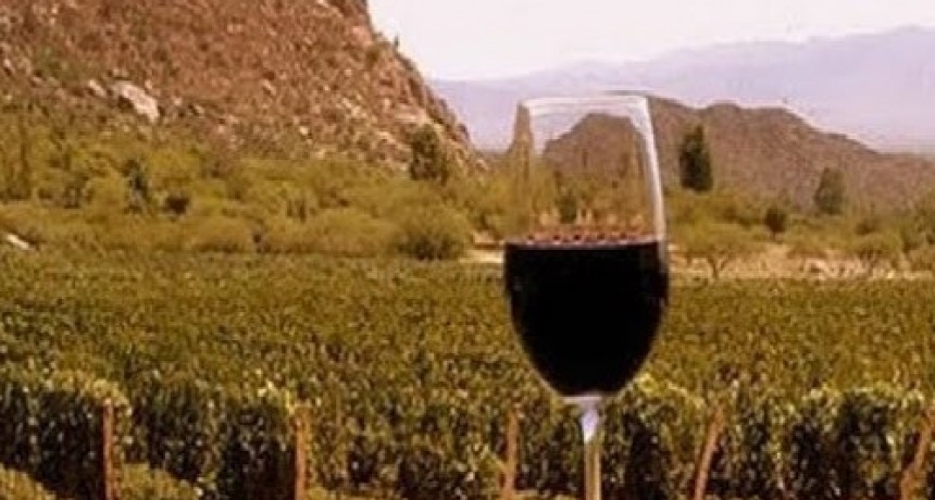 Oportunidad para el desarrollo del Enoturismo en Catamarca
