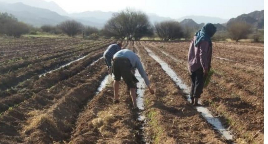 Acciones para el agro en Tinogasta