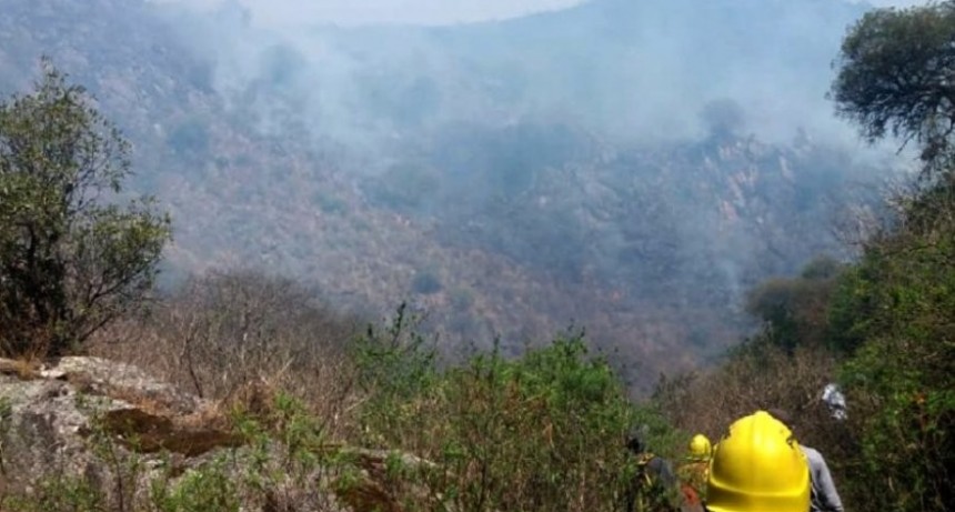 Lograron frenar el avance del incendio en Ambato