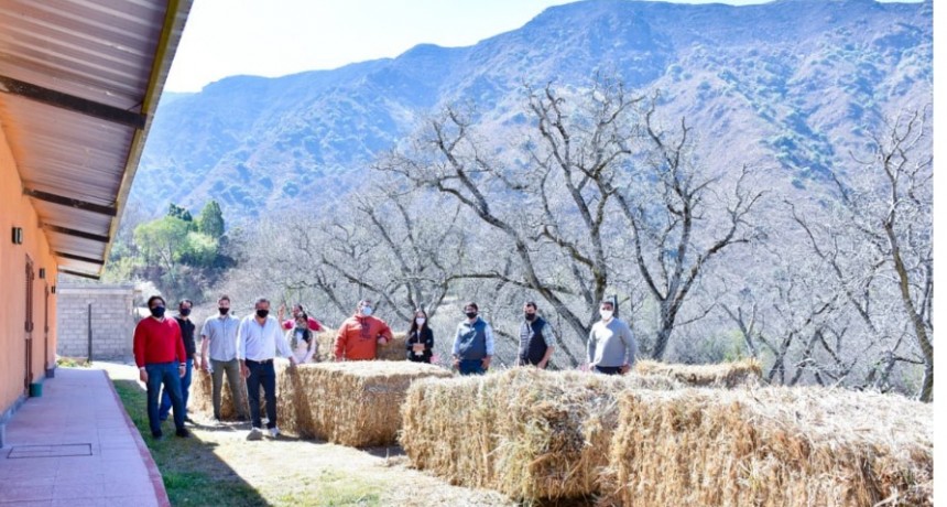 Asistencia a productores ganaderos catamarqueños