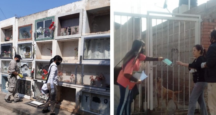 Continúa el cronograma de descacharrado