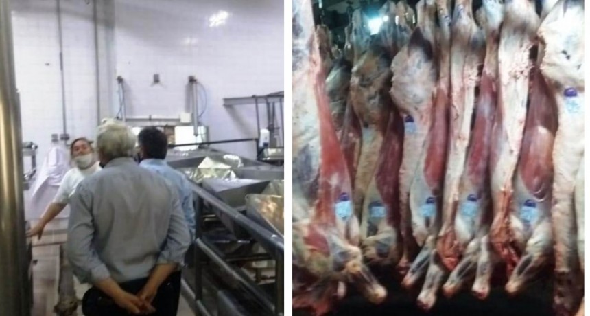 Frigorífico busca ampliar y Optimizar su planta productiva 