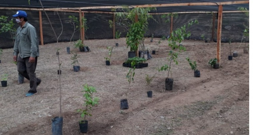 El Rodeo un municipio más que ya cuenta con su vivero forestal