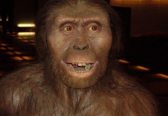 ¿Quién era Lucy el fósil al que rinde homenaje Google?