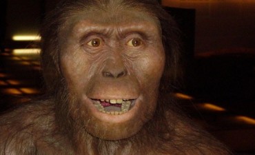 ¿Quién era Lucy el fósil al que rinde homenaje Google?