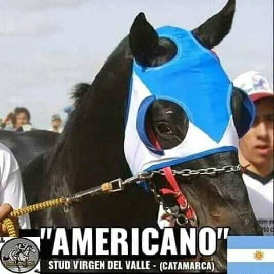 Gran Recibimiento para AMERICANO el caballo del Pueblo