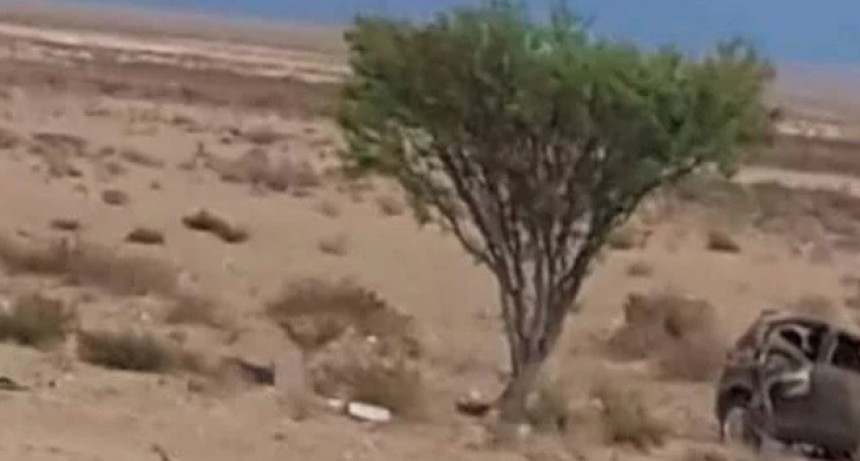 Dos fallecidos al volcar un auto en Santa Mar&iacute;a