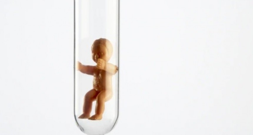 Esc&aacute;ndalo por el caso de una madre que quiere canjear embriones en Facebook