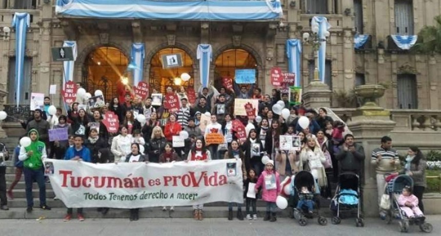 Aborto legal: rechazaron proyecto para impedirlo