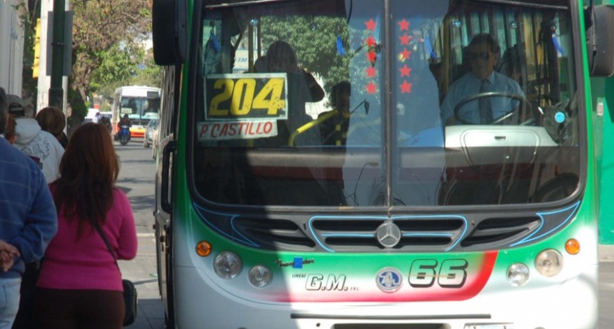 Paro total de transporte la pr&oacute;xima semana 