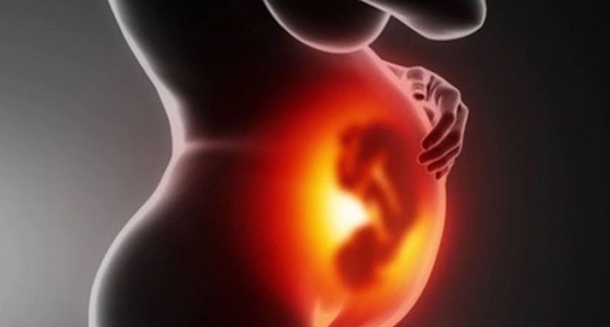 &iquest;De qu&eacute; se trata el primer mapa celular de la placenta?