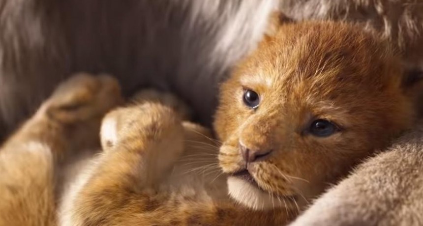 El tr&aacute;iler de &lsquo;El Rey Le&oacute;n&rsquo;, la nueva versi&oacute;n real de Disney
