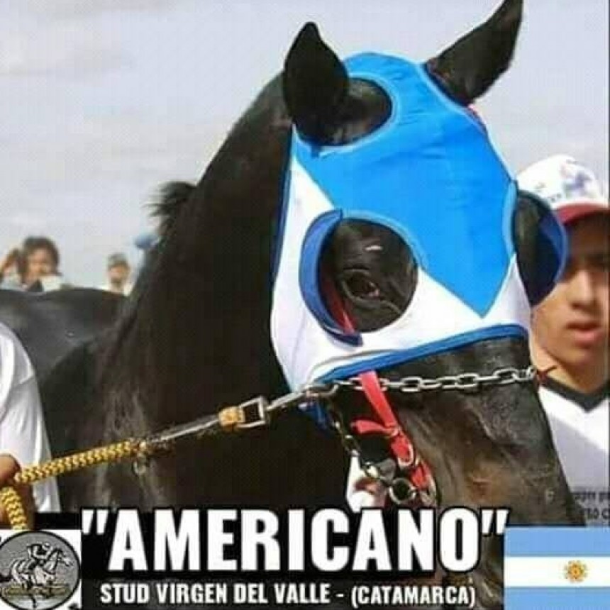 Gran Recibimiento para AMERICANO el caballo del Pueblo