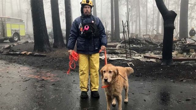 California: Tras controlar el incendio hay 85 muertos y casi 600 desaparecidas
