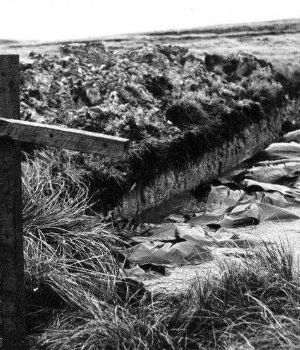 Identificaron al soldado 104 enterrado en el cementerio de Darwin