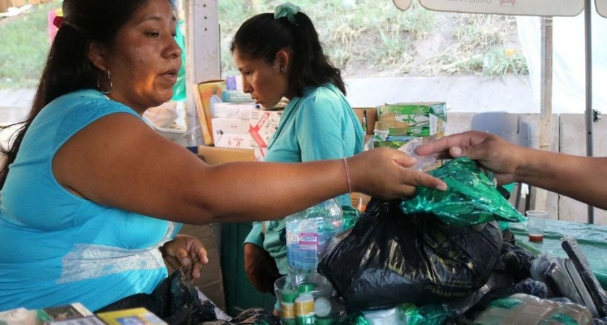 Podría haber faltante de hojas de coca en la provincia de Jujuy