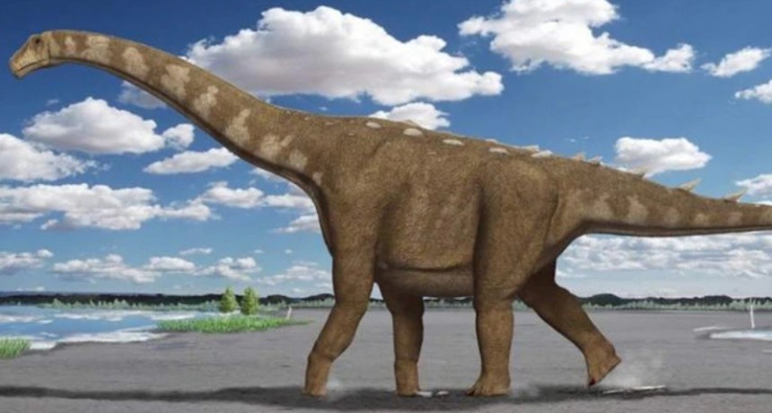 Hallaron restos fósiles de un Titanosaurio de 85 millones de años en Neuquén