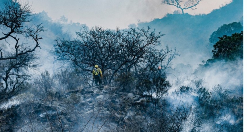  Más de 32 mil hectáreas quemadas en lo que va del año  