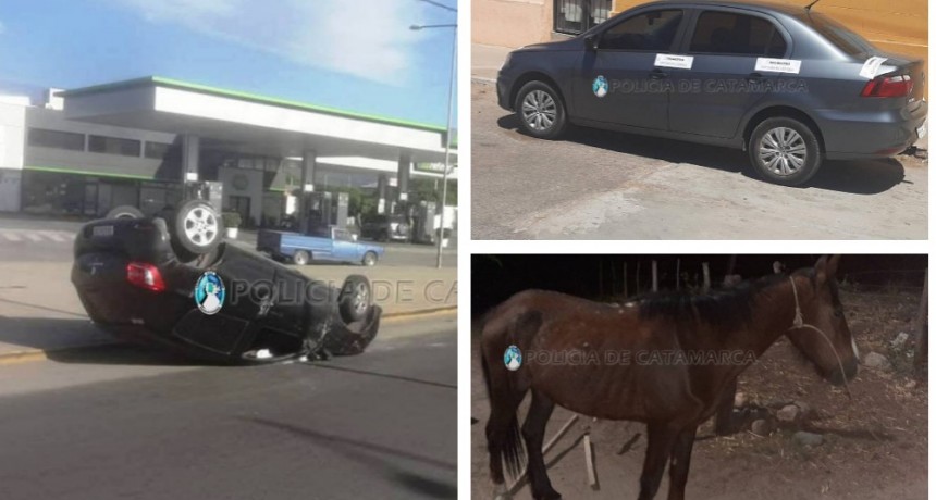 INFORMACION OFICIAL: Reporte actualizado Policía de la Provincia