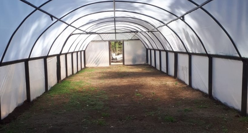 Continúa con éxito el plan de forestación provincial