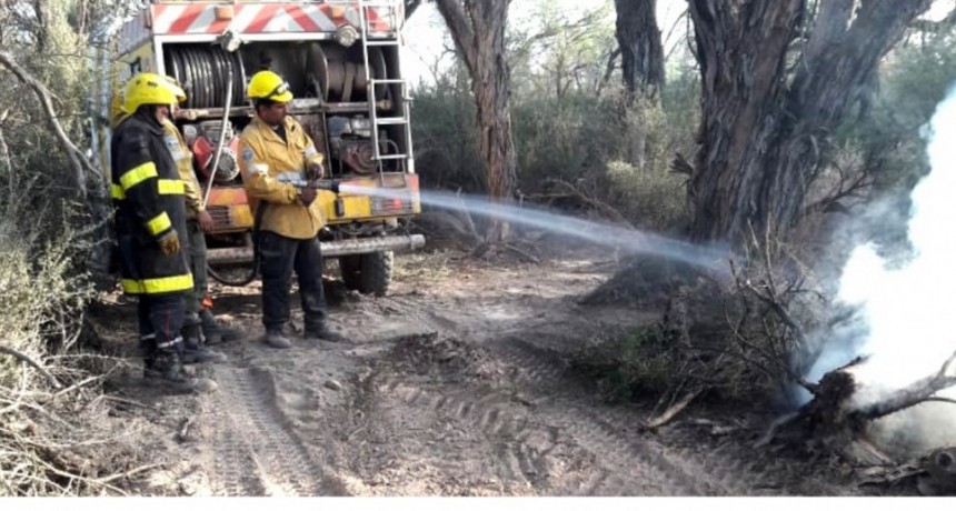 Brigadistas contienen un incendio en el departamento Pomán 
