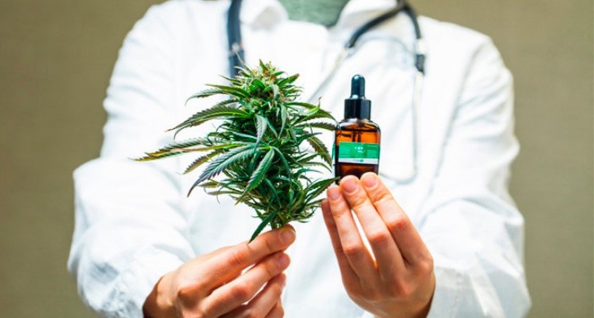 Legalización del cannabis para uso medicinal: Quiénes pueden acceder y qué hay que hacer para autocultivar