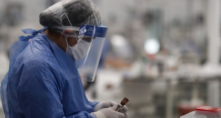 Coronavirus en Argentina: confirmaron 11.163 contagios y 251 nuevas muertes