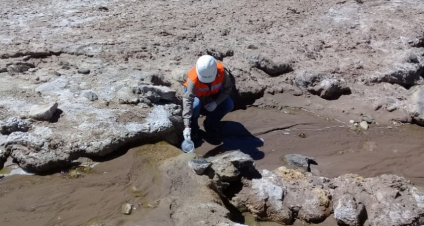 Controles ambientales-Antofagasta de la Sierra