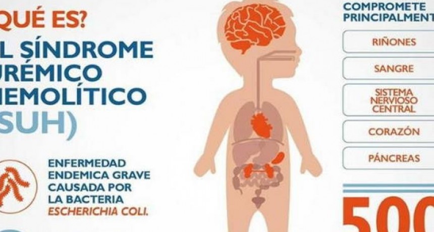 Advierten sobre casos graves que pueden generar la ingesta de comidas en mal estado o con falta de cocci&oacute;n