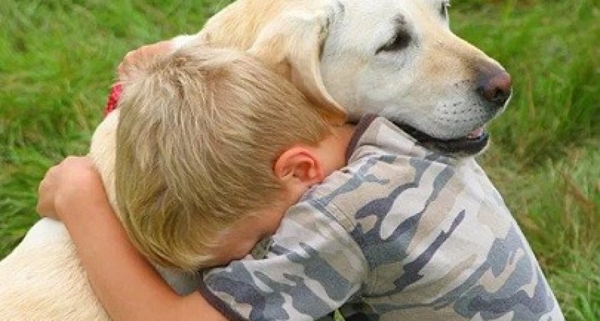 Habr&aacute; multas de hasta 50 mil pesos para comerciantes que vendan pirotecnia sonora