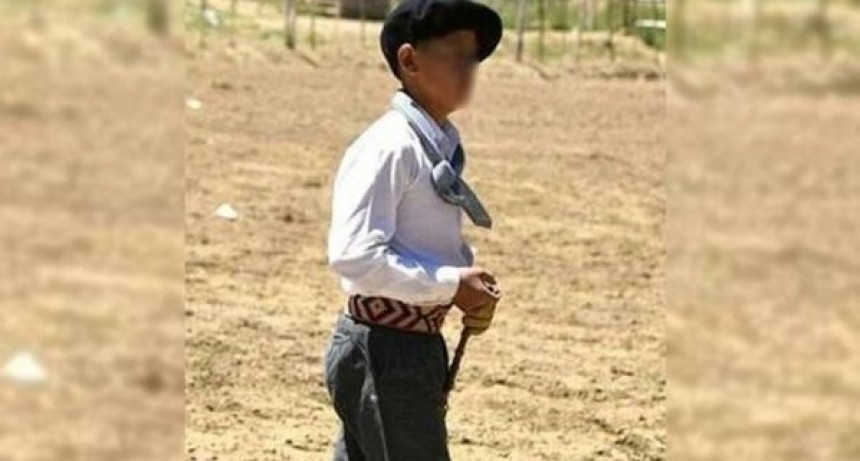 Un chico de 14 a&ntilde;os muri&oacute; aplastado por un caballo en un festival de doma